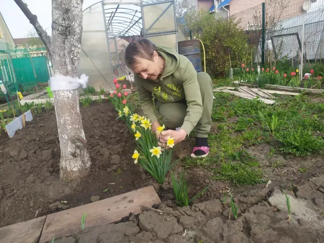 С оглядкой на погоду: работы, которые нужно выполнить в саду в начале мае - Вечерний Барнаул, 02.05.2026