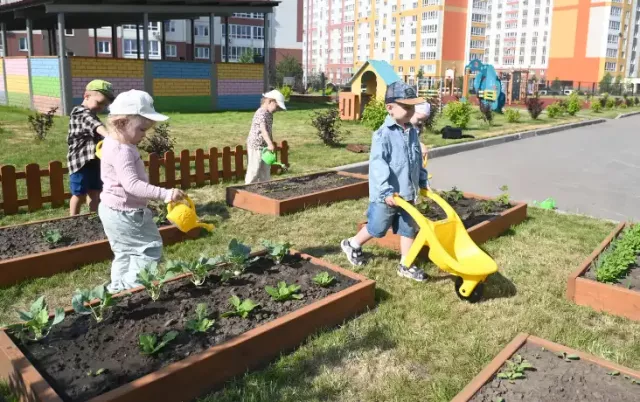 Время новых открытий: чем занимаются маленькие барнаульцы в детских садах летом - Вечерний Барнаул, 24.06.2026