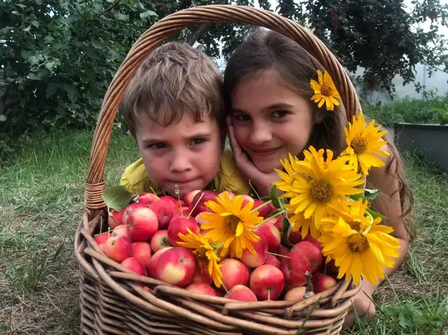Основа будущего успеха: какие сезонные работы ждут садоводов во второй половине августа на дачном участке - Вечерний Барнаул, 16.08.2026