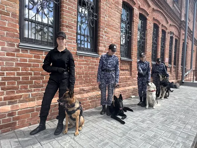 В Барнауле отметили День фронтовой собаки - Вечерний Барнаул, 19.08.2026