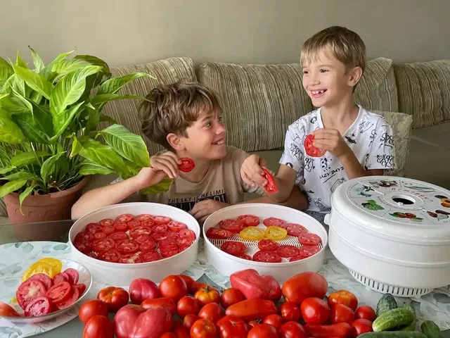 Вяльте на здоровье: в сезон томатов рассказываем о вкусном способе их переработки - Вечерний Барнаул, 06.09.2026