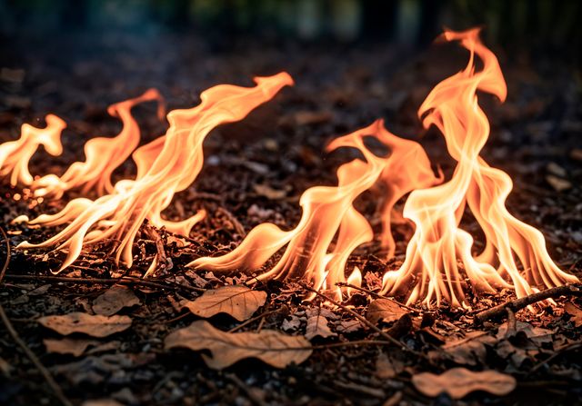 В Алтайском крае продлили штормпрогноз по горимости - Вечерний Барнаул, 20.09.2026