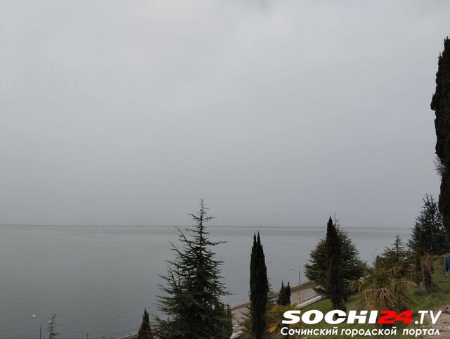 Сильный дождь и грозы прогнозируются в прибрежном кластере Сочи - Sochi24.tv – сочинский городской интернет-портал, 20.04.2025
