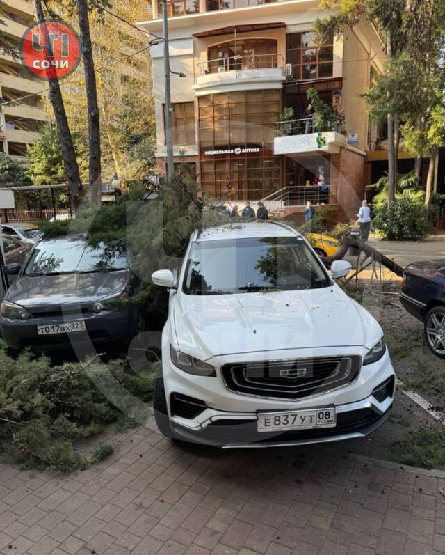 Огромная ветка рухнула на автомобили в центре Сочи - Sochi24.tv – сочинский городской интернет-портал, 07.11.2025