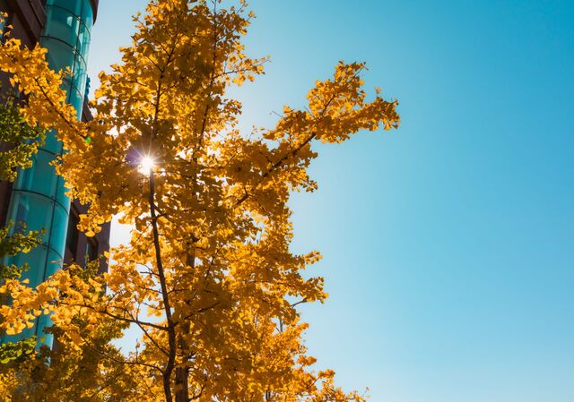 Шувалов: тепло в Сочи сохранится до 13-14 ноября - Sochi24.tv – сочинский городской интернет-портал, 07.11.2025