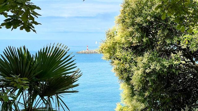 Заход парома по маршруту Трабзон–Сочи все еще не санкционирован из-за вопросов безопасности - Sochi24.tv – сочинский городской интернет-портал, 07.11.2025