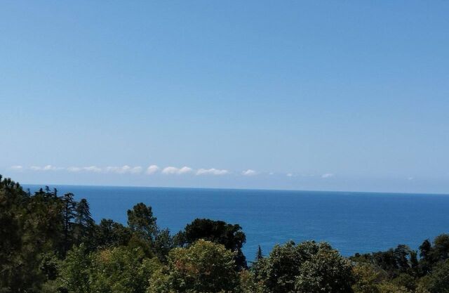 «Сгоревшие» авиабилеты и ночь в море: паром Сочи-Трабзон все-таки пустили в порт - Sochi24.tv – сочинский городской интернет-портал, 07.11.2025