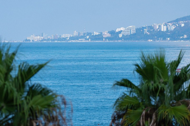 Пассажирам парома «Трабзон — Сочи» купят билеты на самолет Пассажирам парома «Трабзон — Сочи» купят билеты на самолет - Sochi24.tv – сочинский городской интернет-портал, 09.11.2025