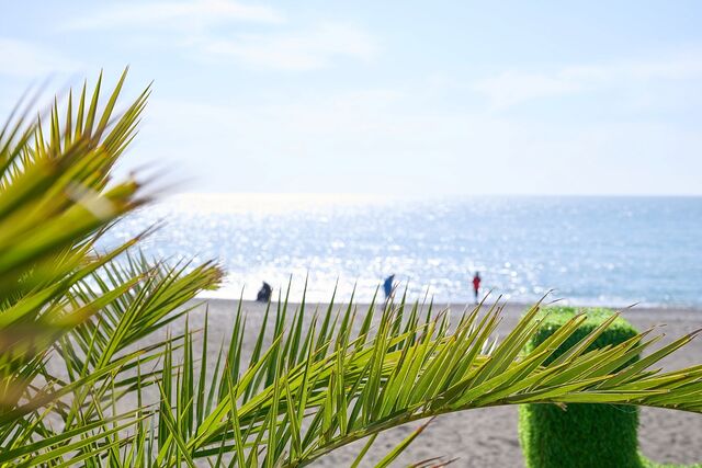 Больше 300 тысяч человек посещают зимние пляжи Сочи ежемесячно - Sochi24.tv – сочинский городской интернет-портал, 21.03.2026