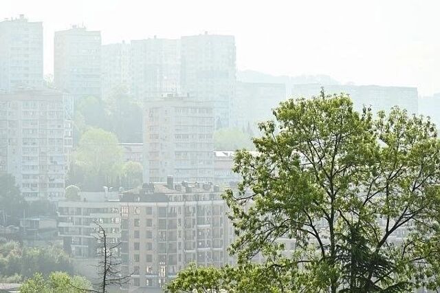 В Сочи и Сириусе ожидается туман 25 марта: водителей призывают к осторожности - Sochi24.tv – сочинский городской интернет-портал, 24.03.2026