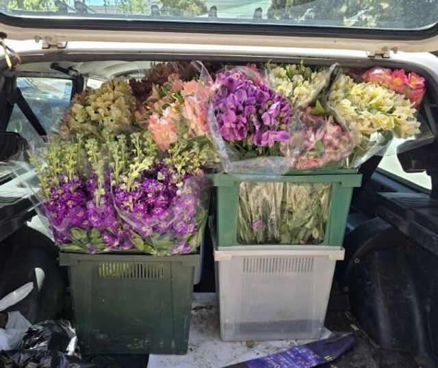 В Адлерском районе Сочи пресекли стихийную торговлю цветами и овощами - Sochi24.tv – сочинский городской интернет-портал, 17.04.2026