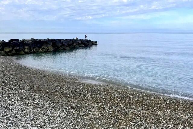 Андрей Прошунин: акватория Сочи остаётся чистой, ситуация на пляжах — под полным контролем - Sochi24.tv – сочинский городской интернет-портал, 29.04.2026