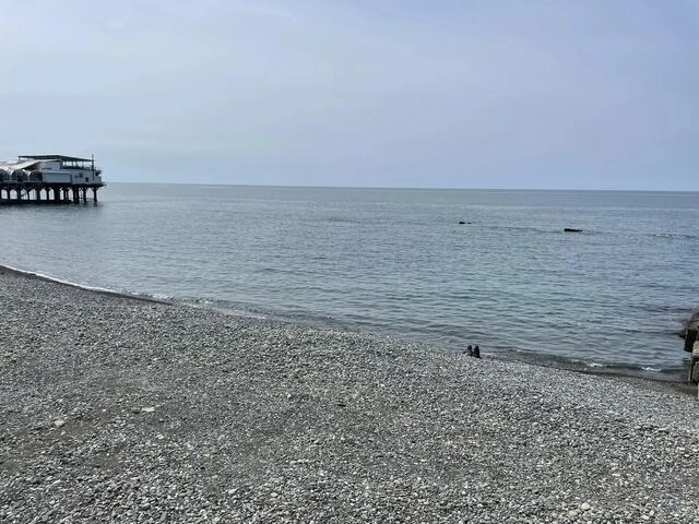 В Сочи подтвердили чистоту морской воды и пляжей - Sochi24.tv – сочинский городской интернет-портал, 30.04.2026