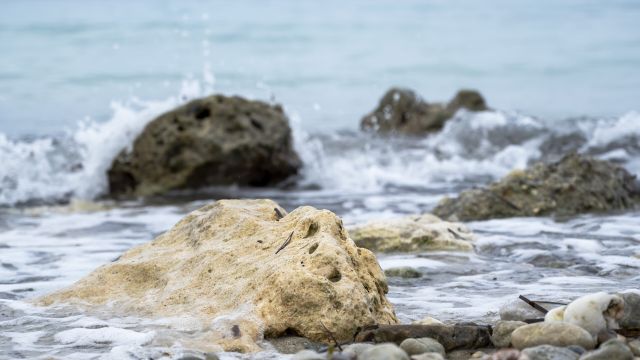 В акватории Морского порта Сочи пройдут учебные стрельбы - Sochi24.tv – сочинский городской интернет-портал, 24.10.2026