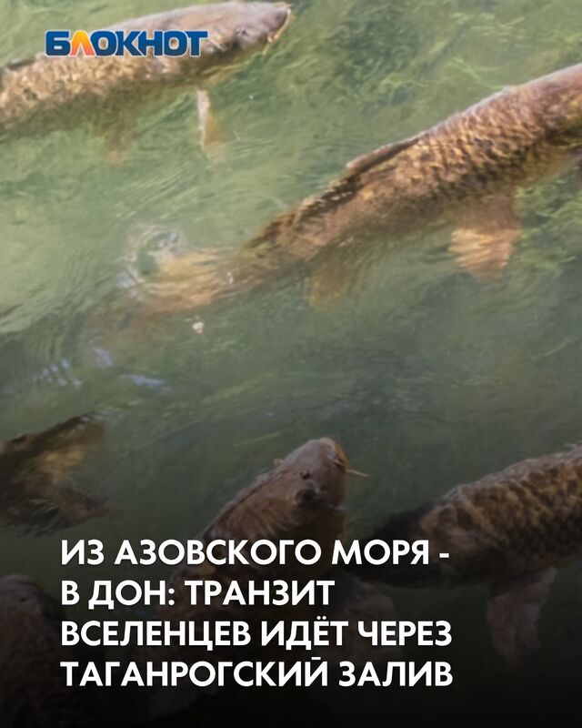 Учёные рассказали о сильных изменениях биоресурсов - Блокнот Таганрог, 05.10.2025