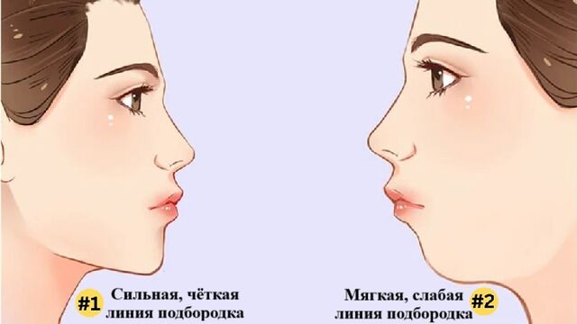 Какой у вас подбородок — этот тест раскроет тайны вашей личности - Пруфы.рф , 30.05.2025