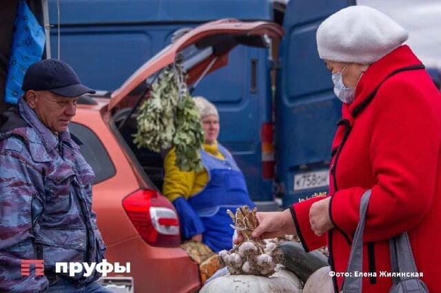 Заприметил странных продавцов на башкирском рынке — узнал печальную правду о пенсиях - Пруфы.рф , 02.11.2025