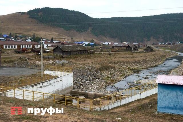 К деревням Башкирии подбираются голодные медведи и лисы - Пруфы.рф , 03.11.2025