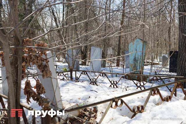 В Уфе появится новое кладбище, но хоронить там будут не людей - Пруфы.рф , 19.11.2025