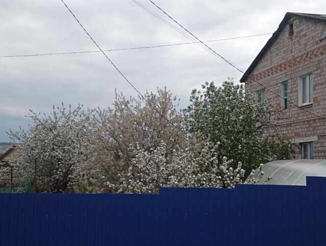 Загородная жизнь не по учебнику: 3 скрытые проблемы, от которых седеют даже стойкие - Пруфы.рф , 19.11.2025