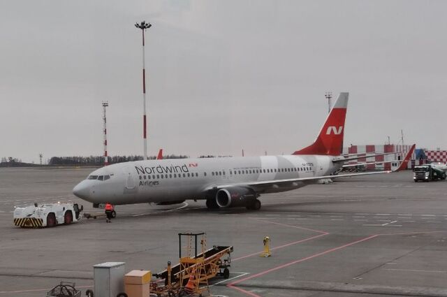 Не только с родителями: скидку 50% на авиабилеты дадут детям с любым взрослым - Пруфы.рф , 23.02.2026