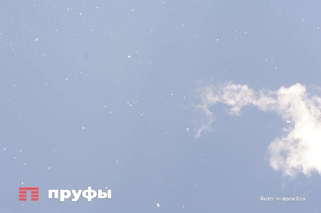 Из-за угрозы беспилотников в Башкирии задерживаются рейсы - Пруфы.рф , 29.04.2026