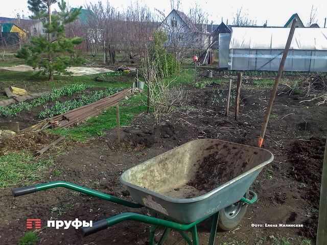 С июня владельцев участков ждут новые правила: изменения коснутся всех дачников и собственников земли - Пруфы.рф , 10.05.2026