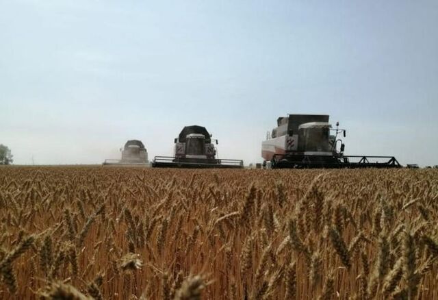 Власти Башкирии признали тупик в производстве зерна - Пруфы.рф , 02.06.2026