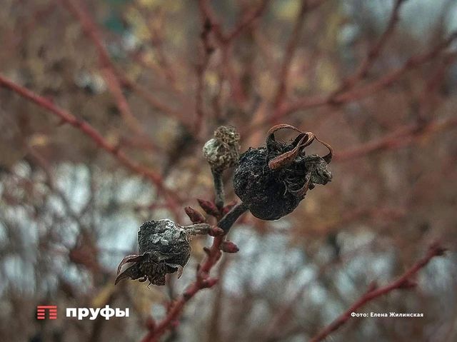 Внезапное похолодание ворвется в Башкирию - Пруфы.рф , 26.08.2026