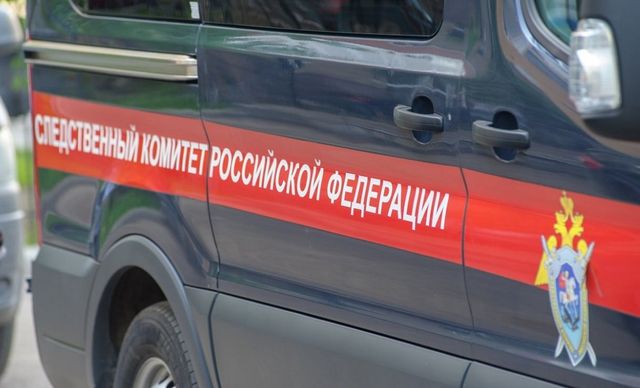 Ушли за грибами и не вернулись: медведь загрыз двух пенсионерок в Красноярском крае - Пруфы.рф , 03.09.2026