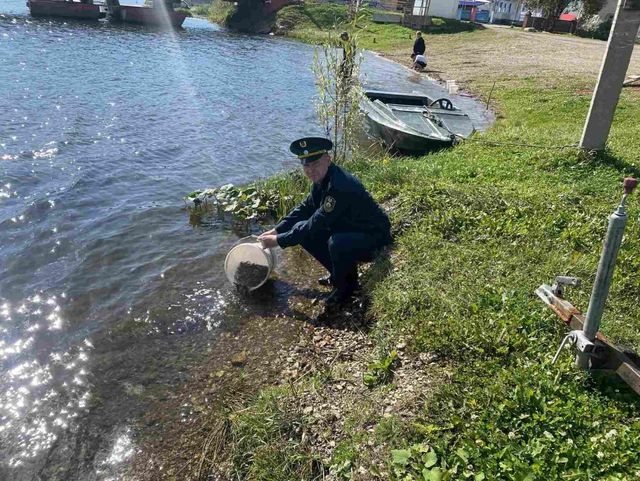 "Царских" рыб, занесенных в Красную Книгу, выпустили в Павловское водохранилище - Пруфы.рф , 15.09.2026