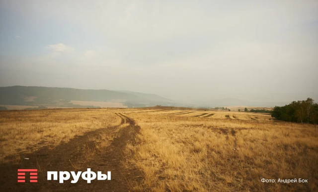 Башкортостан бьет рекорды по сахару, а Татарстан борется с осадками: как проходит уборочная кампания - Пруфы.рф , 19.09.2026