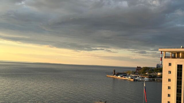 Картина дня в Приморье: уничтожение легенды, резкое потепление и изгнание метлой - Восток-Медиа | Новости Приморья и Владивостока, 19.11.2025